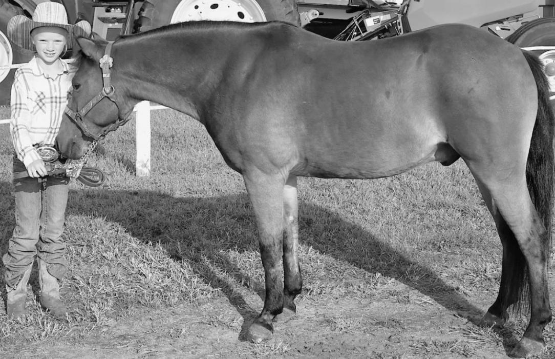 Pony Halter: 1. Hannah Daniels.