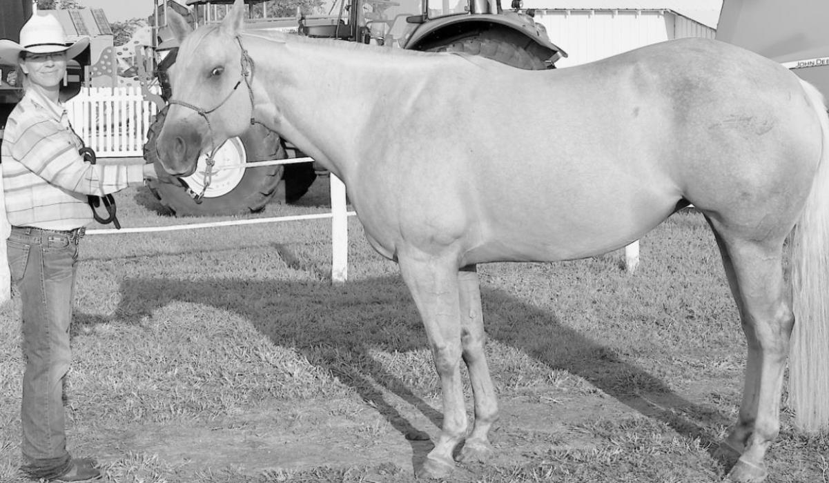Grand Champion Mare: Shannon Daniels.