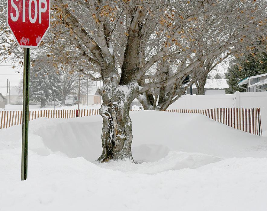 Mother Nature Puts Many Christmas Activities On Hold