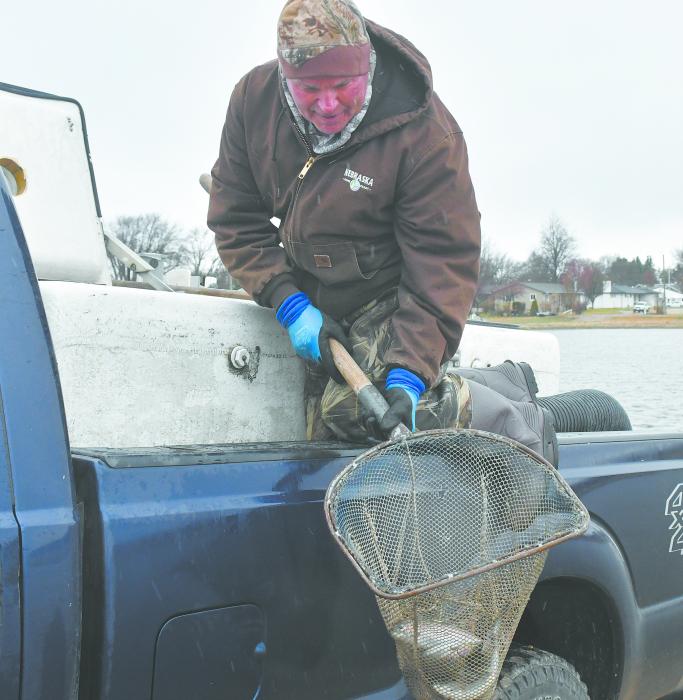 On Wednesday, April 2, Nebraska Game and Parks made their way to the Ainsworth Community Pond with 250 rainbow trout. The pond currently has bass, bluegill, perch, and now trout stocked to fish. There is no need to have a Nebraska State Park pass, though a fishing license is required for those over 16.