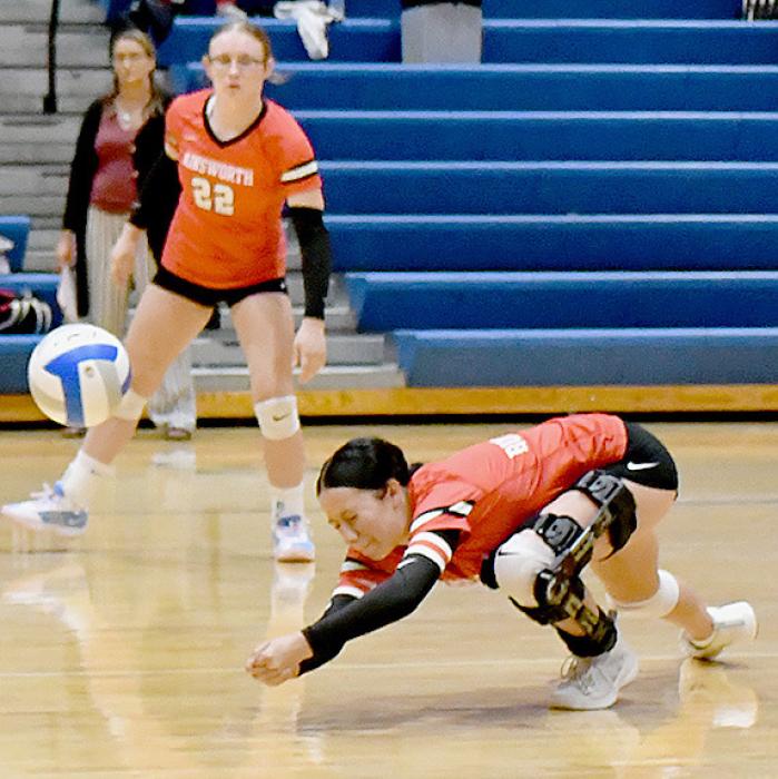 Christina Fernau makes the dig for the Bulldogs.