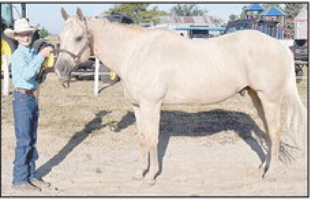 Jayse Daniels gelding was named Grand Champion.