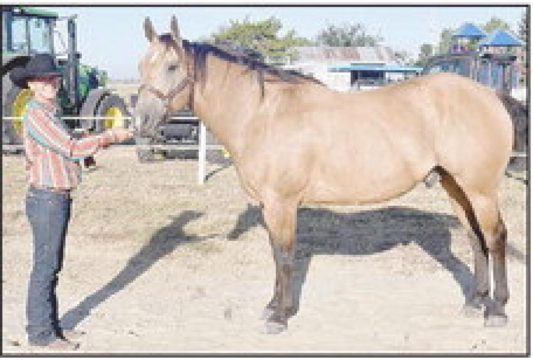 Shannon Daniels gelding was named Reserve Champion.