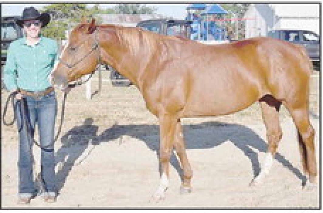 Leah Schwindt’s mare was named Grand Champion.