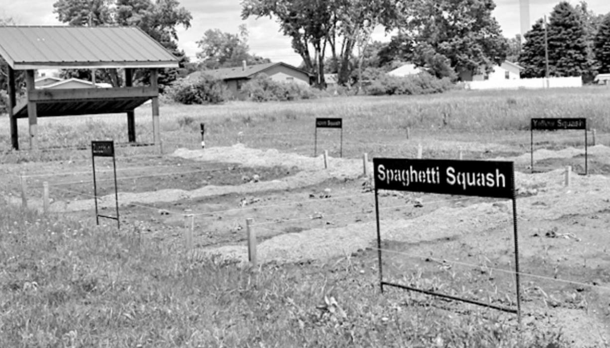 Ainsworth High School built metal signs with the names of each type of vegetable in the garden. They were painted black by KC Collision.