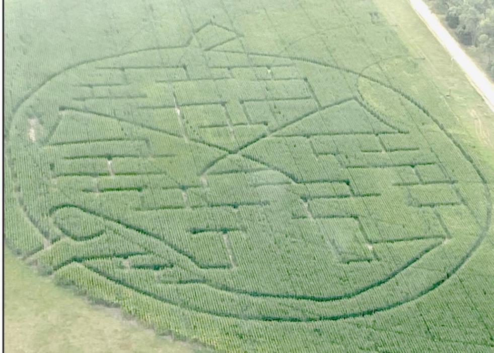 The corn maze, shown above, took the Bowen family and volunteers about seven hours to create. It should take participants approximately 45 minutes to solve the maze.