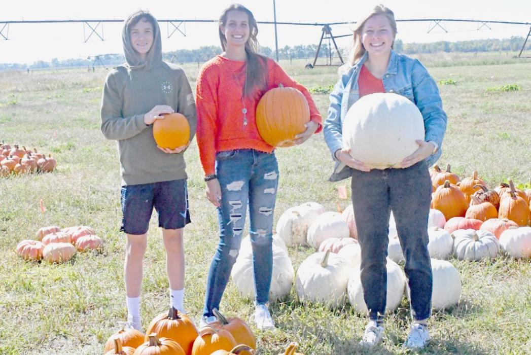 Ainsworth FFA members (Left to Right) Logan Schroedl, Haley Schroedl and Alyssa Erthum, show off pumpkins from the chapter's pumpkin patch at the Sandhills Corn Maze. Pumpkins of all sizes and colors can be picked on weekends in October.