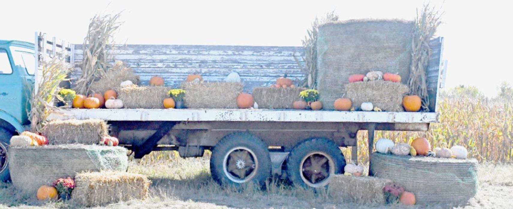 Get Lost in the Sandhills Corn Maze: Now Open Every Weekend in October
