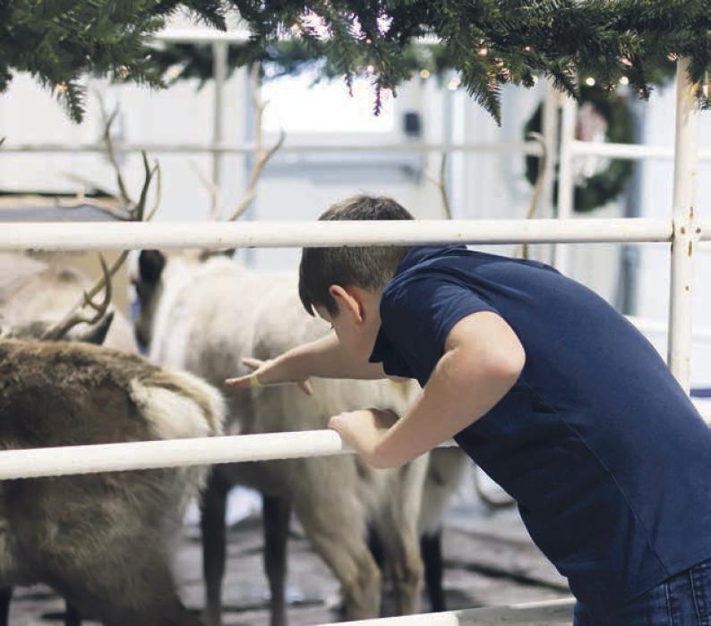 Santa and his reindeer visited the Ainsworth Fire Hall on December 7. Children of all ages attended and tried to pet the reindeer.