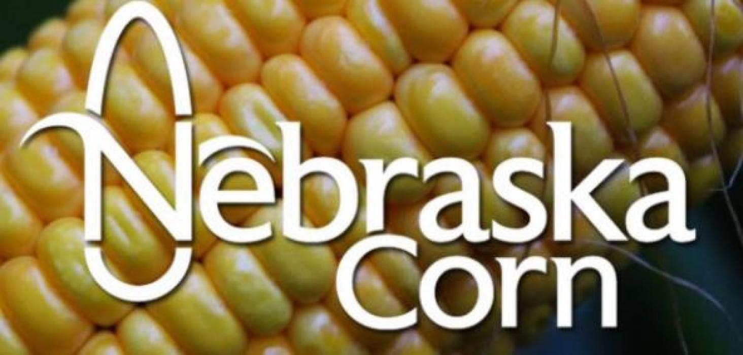 Nebraska corn farmers have been concerned as fertilizer prices have risen more than 80% for the upcoming growing season compared to 2021.