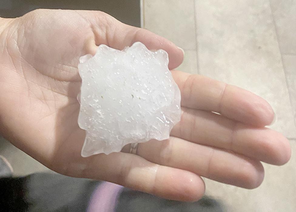 Storm Sweeps Through Area