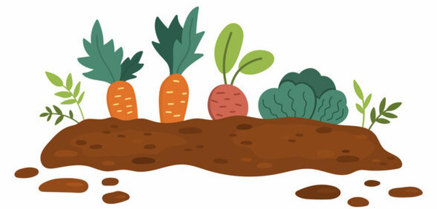 Start Now for a Successful Vegetable Garden
