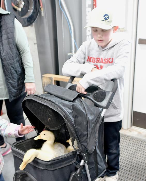 Ainsworth FFA Chapter’s “Hopping Into Easter” Event Brings Out Kids