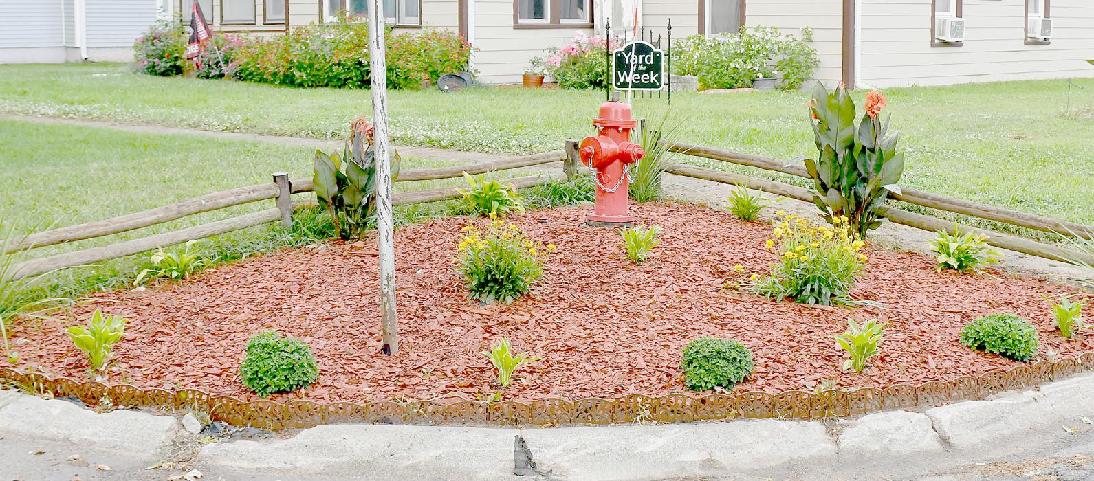 This Week’s Yard of the Week Honors Goes to Knic Fernaus