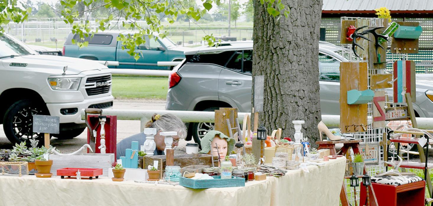 Ten Vendors Set Up in East City Park for The Market