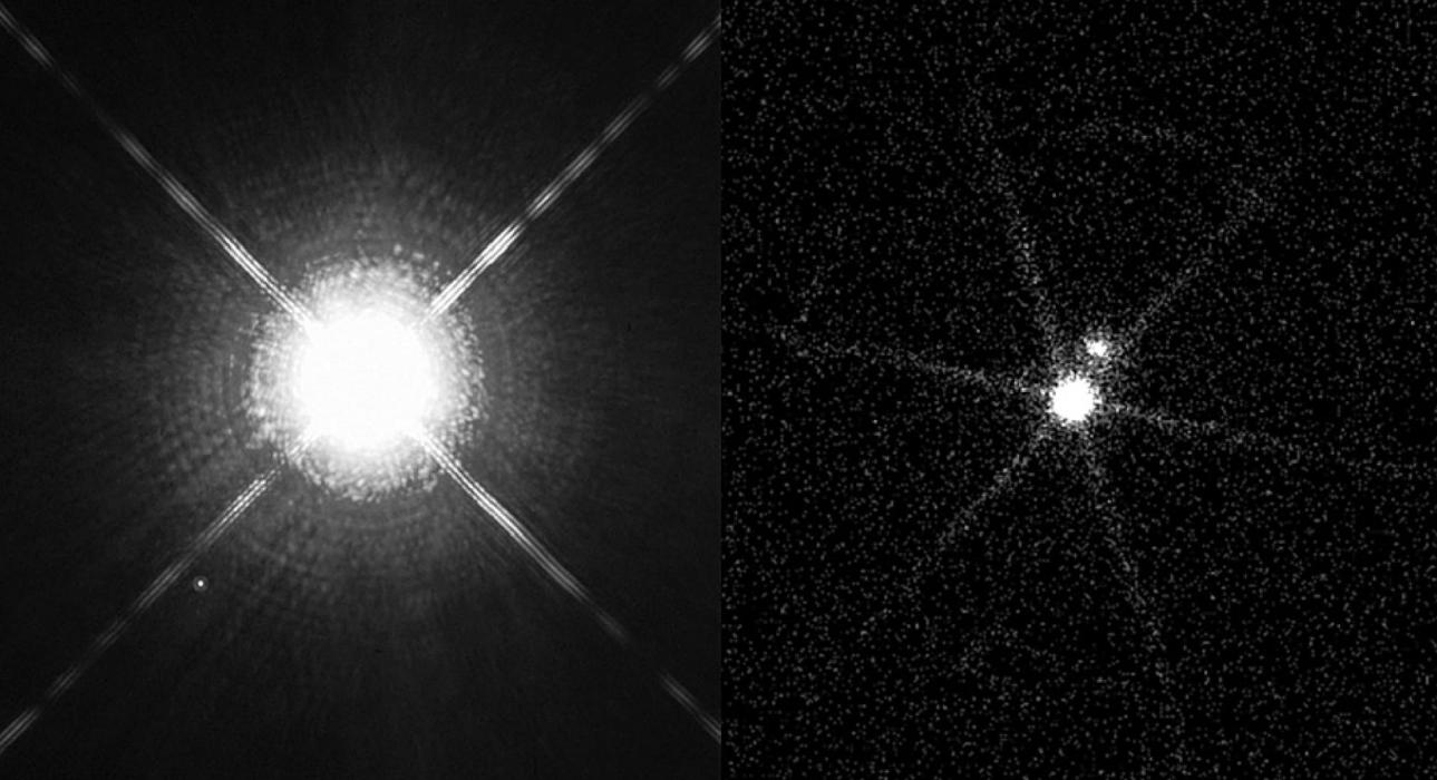 Taking the Dog Stars for a Springtime Walk: Sirius and Procyon!