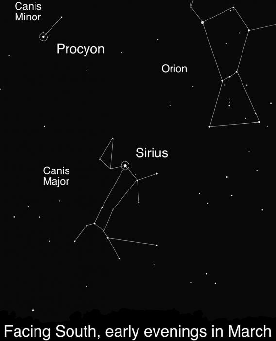 Taking the Dog Stars for a Springtime Walk: Sirius and Procyon!