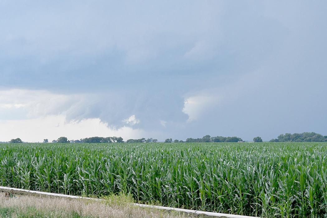 Severe Thunderstorm Sweeps Through Western Brown County