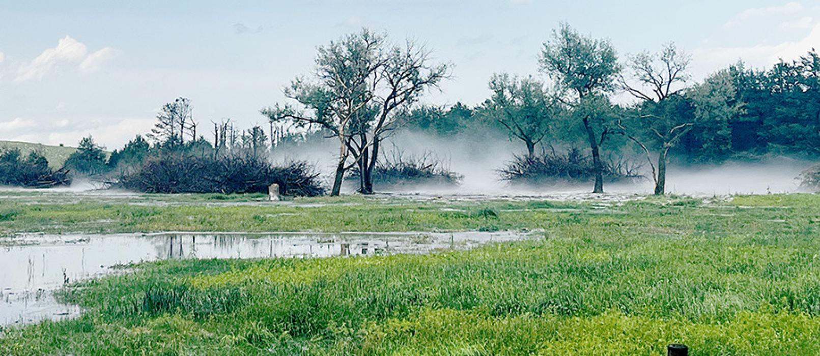 Severe Thunderstorm Sweeps Through Western Brown County