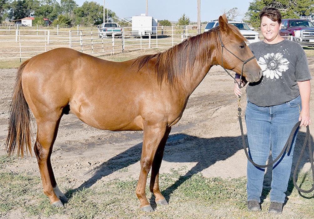 2024 Brown County Fair Horse Show