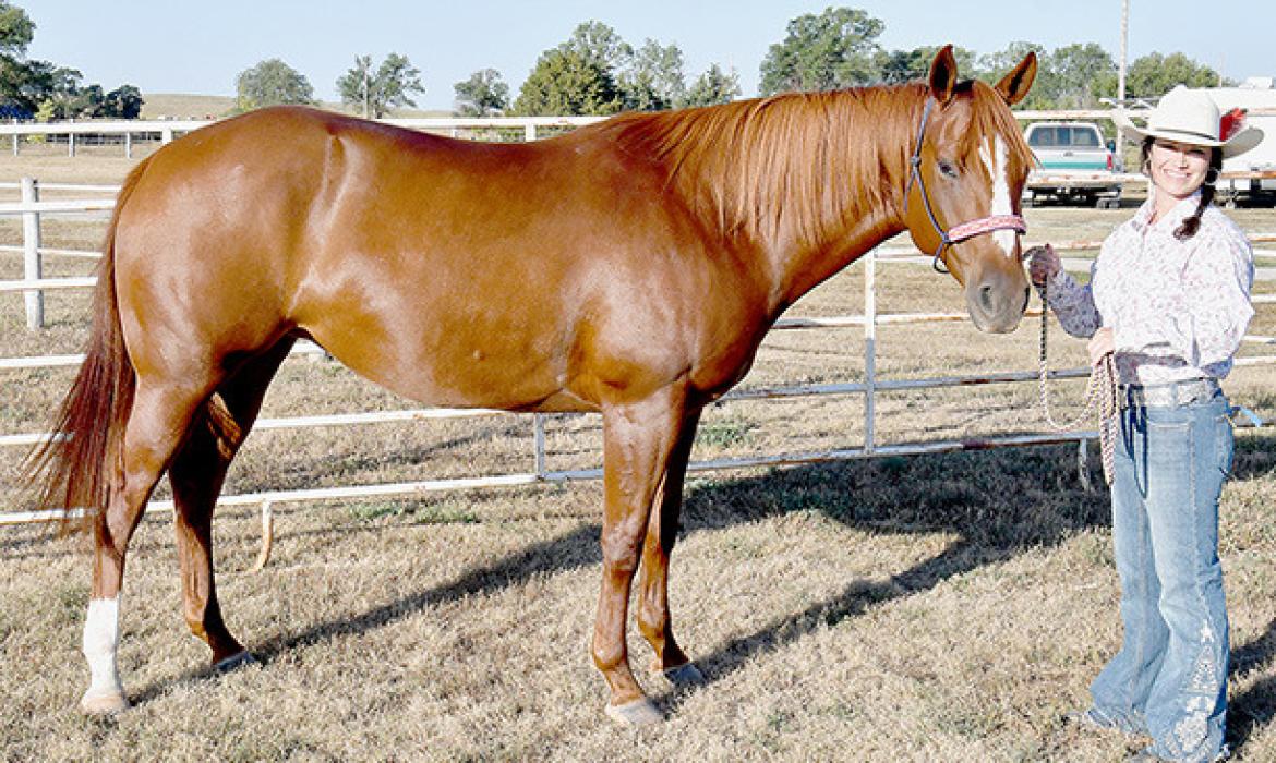 2024 Brown County Fair Horse Show