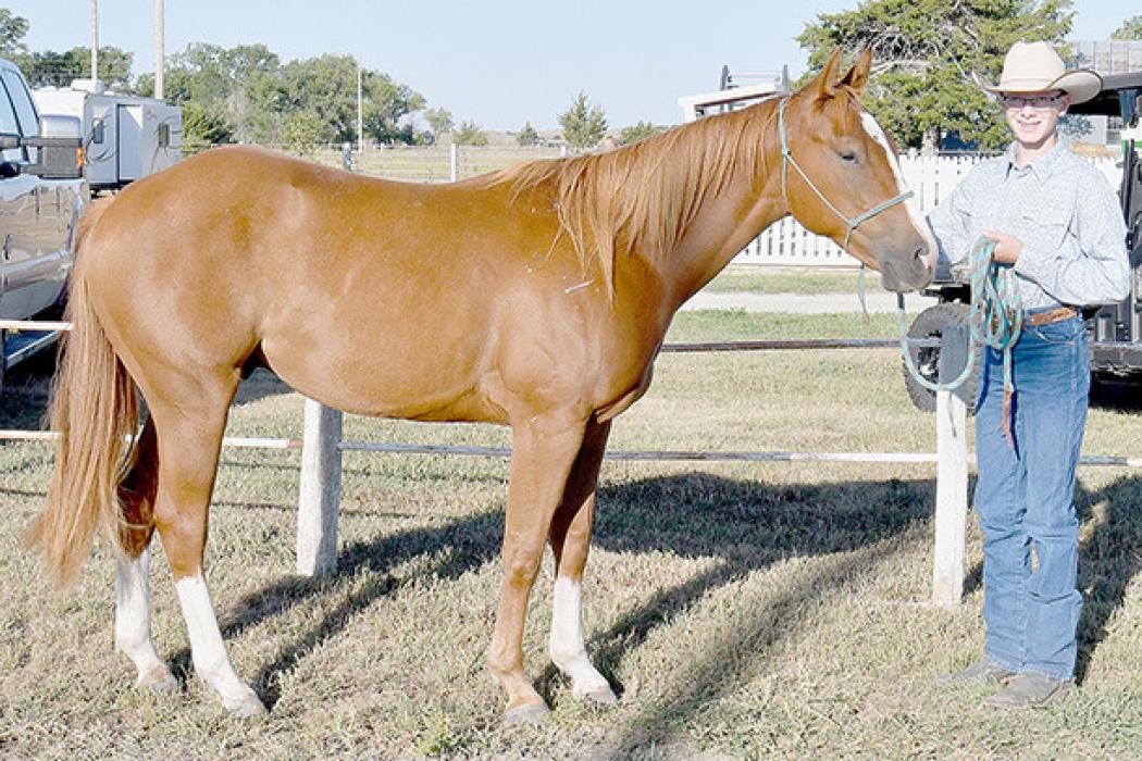 2024 Brown County Fair Horse Show