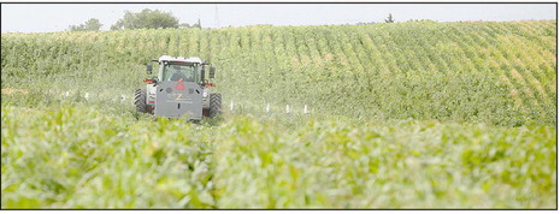 The Weed Zapper is driven through a field of Belltown Farms beans near Holstein Wednesday, July 31. The machine uses electricity to help control the weeds. Photo by Laura Beahm for the Flatwater Free Press
