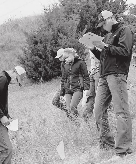 Ainsworth FFA Chapter Competes in Range and Livestock Judging, Leadership Development Events