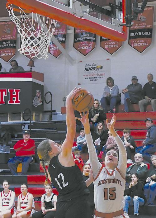 Sandhills/Thedford had a height advantage over the Lady Bulldogs. Willa Flynn found that out when her shot was blocked by Laney Dahlberg.