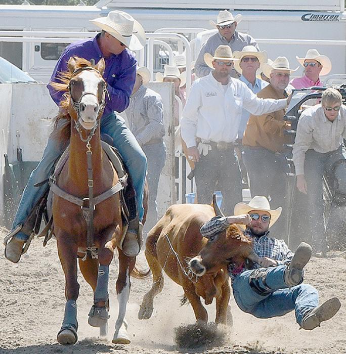 Attend the 91st annual Brown County Fair to cheer on cowboys and cowgirls from the surrounding area and beyond.