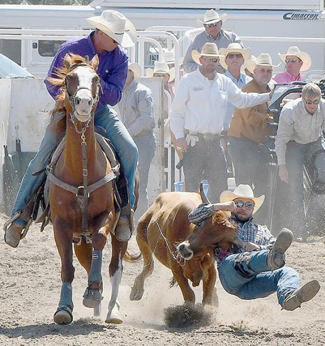 Attend the 90th annual Brown County Fair to cheer on cowboys and cowgirls from the surrounding area and beyond.