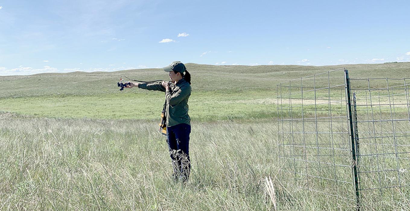 Catherine Chan uses a spectrometer on Barta Brothers Ranch to see how the vegetation reflects light.