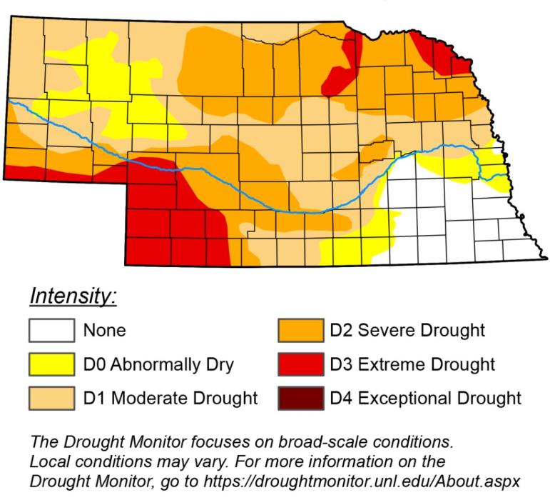 Burn Ban Continues for All of Brown County