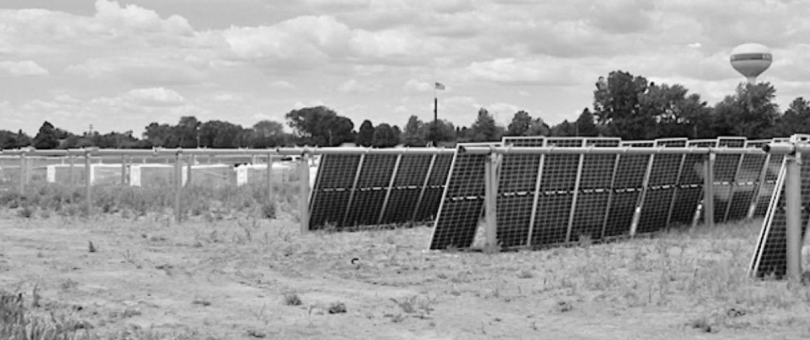 Three rows of solar panels were unpacked in the afternoon on Tuesday, June 1st with many more rows to go.