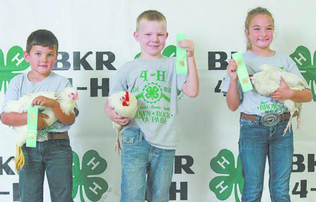 Clover Kids Ely Lehn, Riggs Welch, and Jaiden Lehn present their poultry. Photo Courtesy of Hannah Keller
