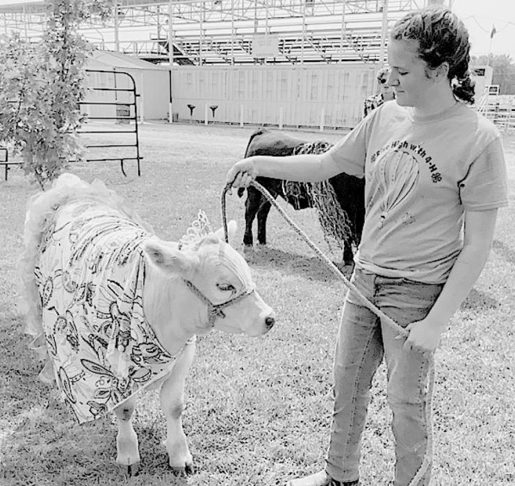 A fun class added to the BKR 4-H judging this year was Best Dressed Calf. Oliva Beel shows off her calf in its Princess outfit.