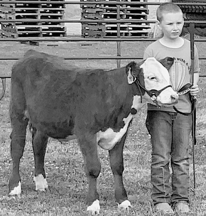 Eli Beel showed his 4-H Bucket Calf named Hank.