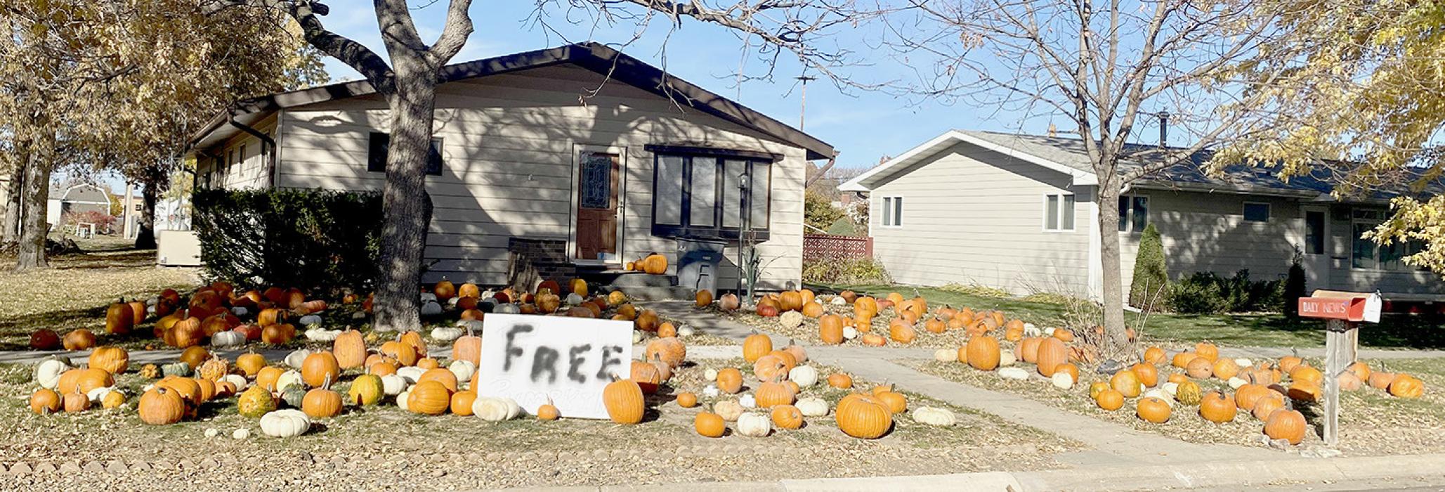 Although everyone wasn’t treated, the Drake Fiala resident, located on Second Street in Ainsworth, was provided with a large number of pumpkins without requesting them. What a way to be greeted when they came home from work.