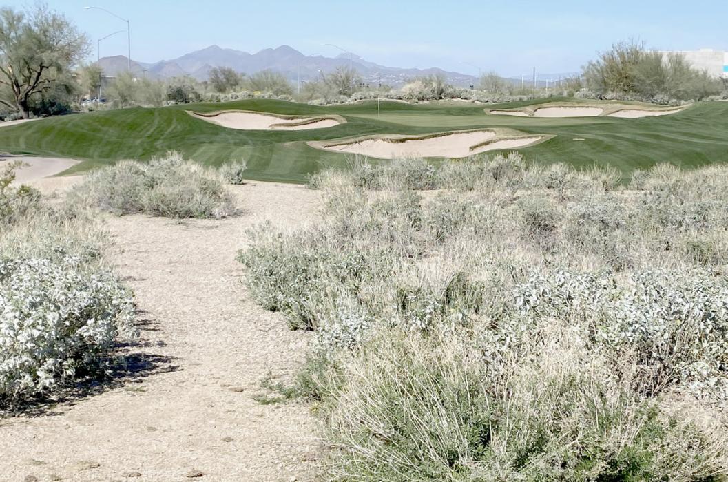 “Golfing Grannies 2024 Tour”