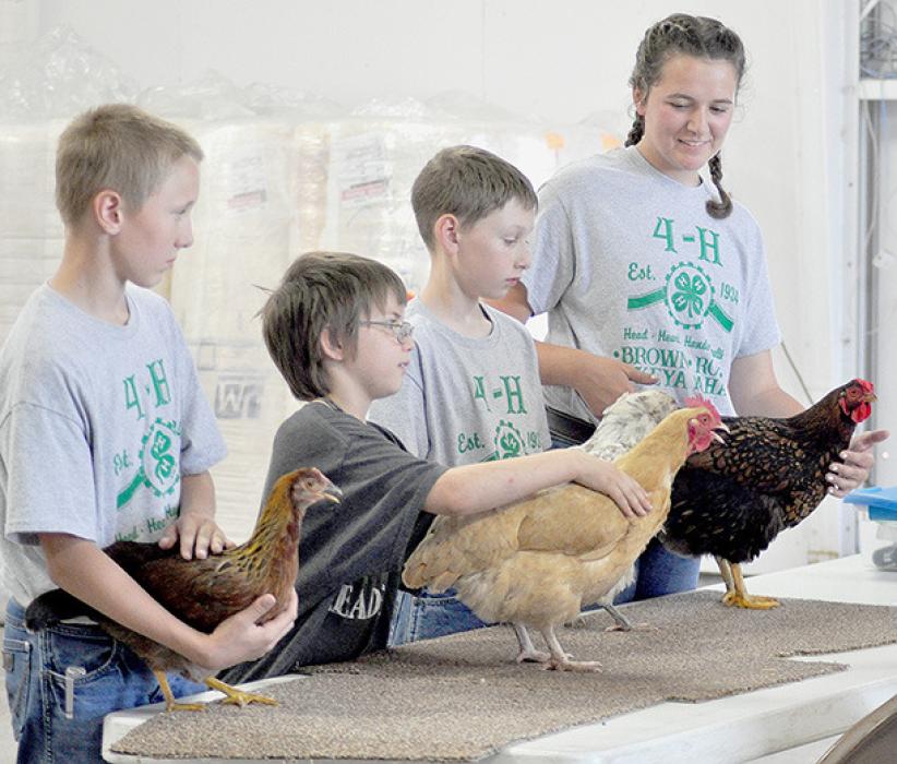 2024 BKR 4-H Poultry