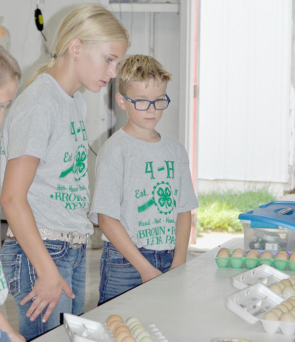 2024 BKR 4-H Poultry