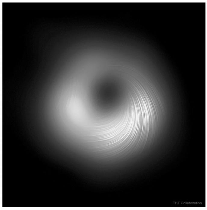 The first image of a black hole’s event horizon was taken in the center of one of the most prominent galaxies in Virgo, M87! This follow up image, created by further study of the EHT data, reveals polarization in the radiation around the black hole. Mapping the polarization unveils new insights into how matter flows around and into the black hole - and even hints at how some matter escapes! More details: apod.nasa.gov/apod/ap210331.html Credit: Event Horizon Telescope Collaboration