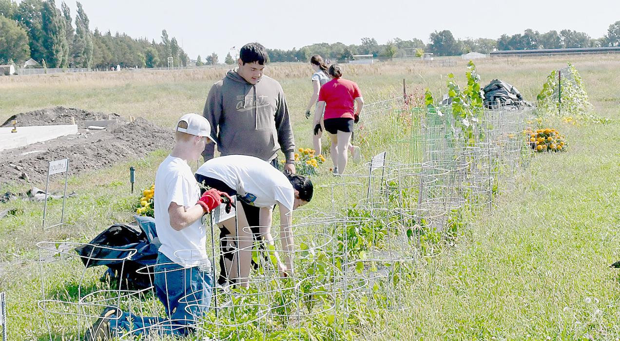 Ainsworth Community Students Give Back on Community Betterment Day