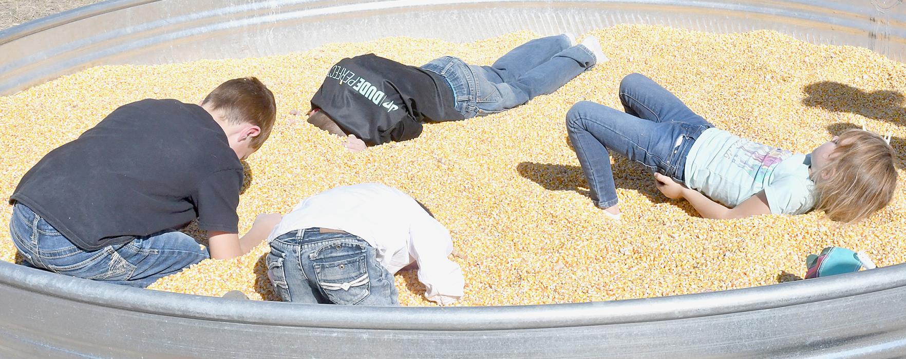 Who knew playing in shelled corn could be so much fun!